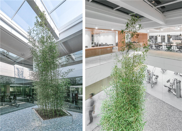 郑州办公楼设计公司推荐产业园区复合办公空间设计方案
