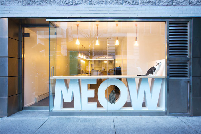 纽约首家宠物主题咖啡馆设计