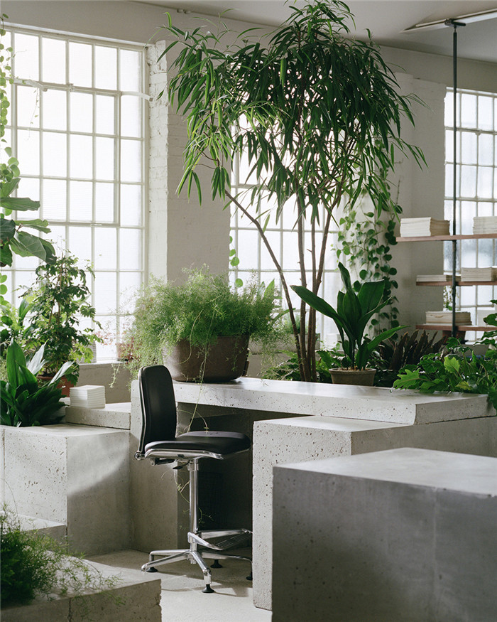 郑州勃朗设计推荐超美的绿植混凝土创意办公设计方案